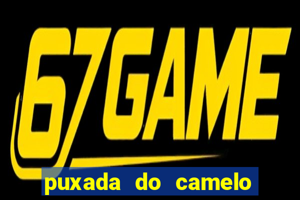 puxada do camelo jogo do bicho